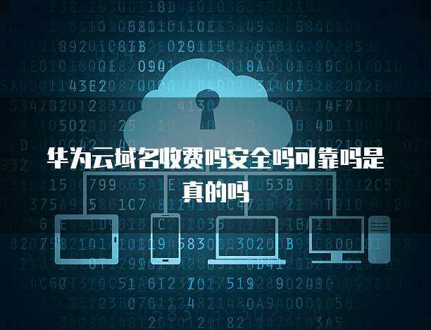 互联网安全服务 如何评估其收费、安全性、可靠性与真实性